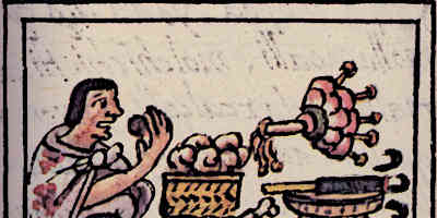 Aztec Food Facts