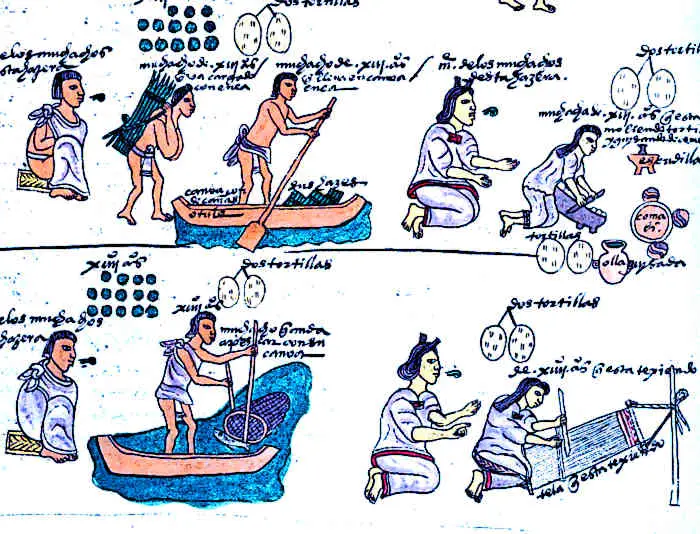 Aztec Education